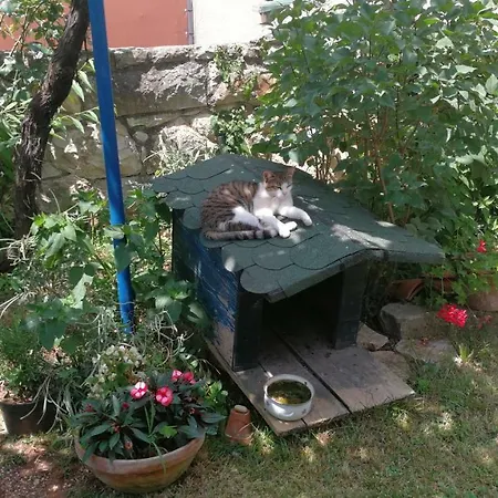 Rivamare - Konukevi Rovinj